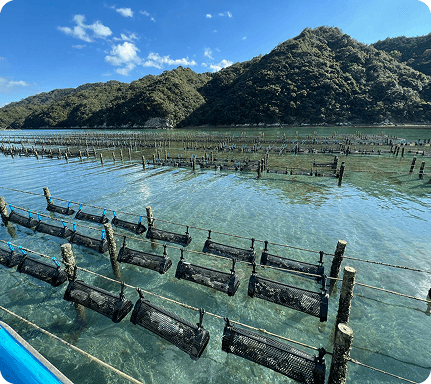 Aquaculture farm