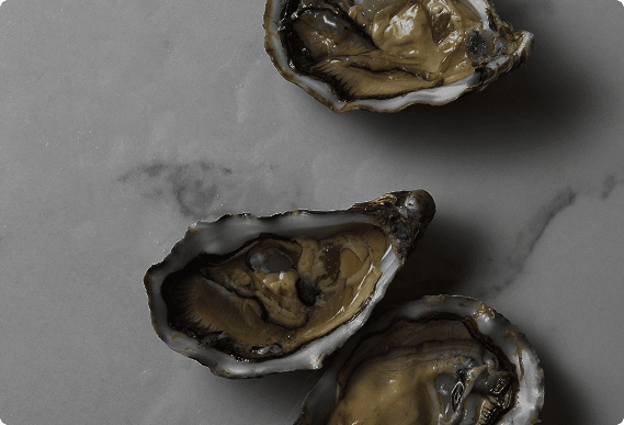 Fresh oysters on stone