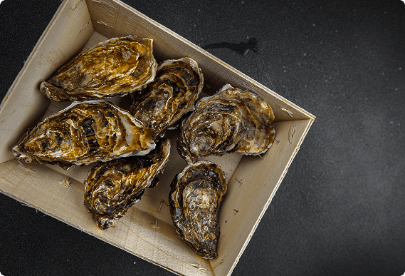 Packed oysters ready for shipping